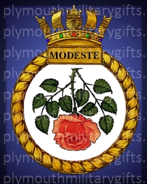 HMS Modeste Magnet